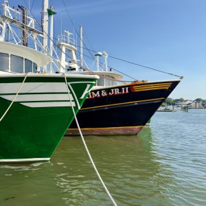 IMG_7131.jpeg