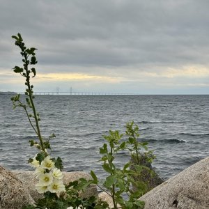 IMG_0621.jpeg
