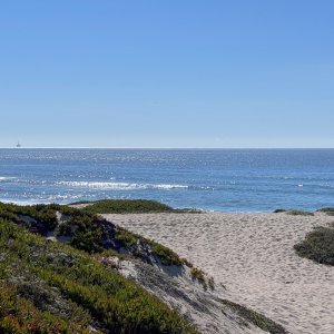 IMG_5285.jpg