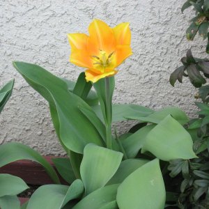 IMG_0089.JPG