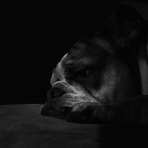 IMG_0045.jpeg