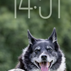 IMG_0461.PNG