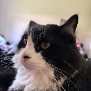 IMG_0397.jpeg