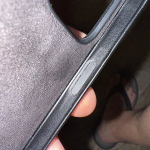 IMG_0351.jpeg