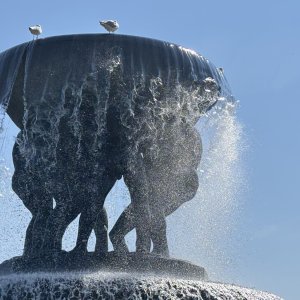 IMG_3708.jpeg