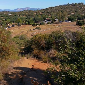 IMG_20250703_083341 cropxS.jpg