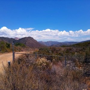 IMG_20250701_133837 x2.jpg