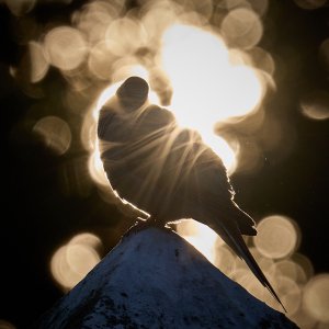 2025-07-06 ~ R52_2210.jpg