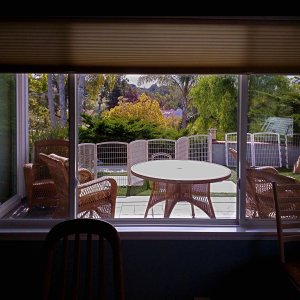 IMG_20250427_093948 x.jpg