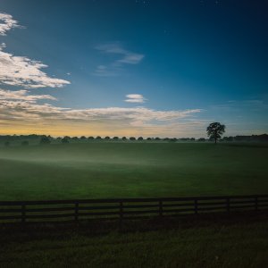 IMG_0106.jpeg