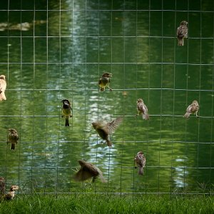 2025-07-08 ~ R52_2860.jpg