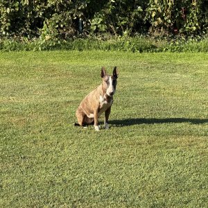 IMG_1126.jpeg