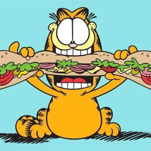 Garfield Sandwich.jpg