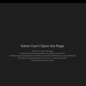 Screenshot 2025-07-13 at 11.47.45 AM.png
