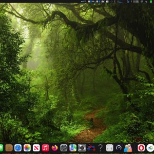 2025-07-23 14.49.21.jpeg