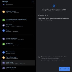 Screenshot_20250724_125958_Google Play Store.jpg