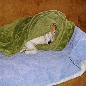 cuddle on couch 2 copy 2x2.jpg