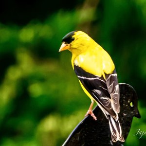 A91CBF8E-DFA5-4993-9D4E-1A39AD66328D 3.JPG