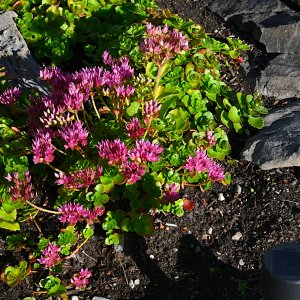 DSC_0548.jpg