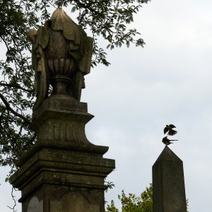 2025-08-01 ~ R52_6547.jpg