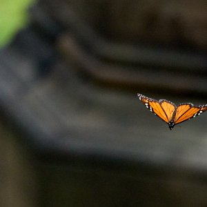 2025-08-02 ~ R52_6846.jpg