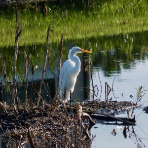 IDG_20250801_082437_570 (1).jpeg