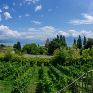 Morge Pano 2500px-1.jpg