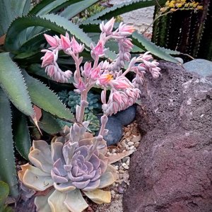 IMG_20250730_111747 cropxv.jpg