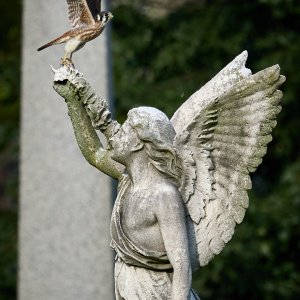 2025-08-02 ~ R52_7163.jpg