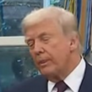 Screenshot 2025-08-06 at 17.41.47.png