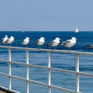 IMG_3464.JPG