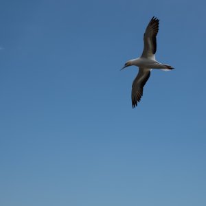DSC_1326.jpeg