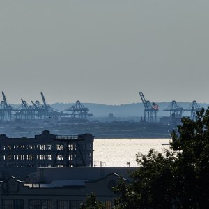 2025-08-08 ~ R52_9006.jpg