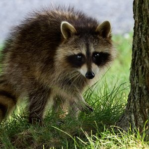 2025-08-10 ~ R52_9546.jpg