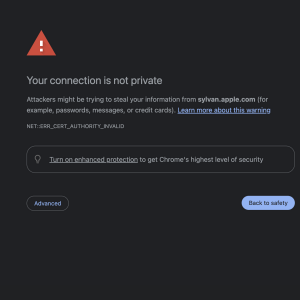 Screenshot 2025-08-13 at 1.09.37 PM.png