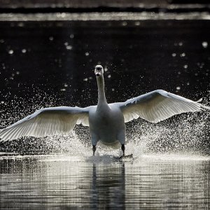 2023-02-05 ~ _r5_2787.jpeg