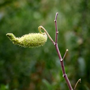 2025-08-13 ~ R52_0131.jpeg