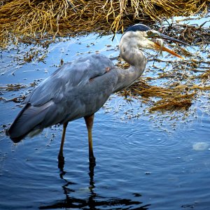 2023-09-07 ~ _r5_2544.jpeg