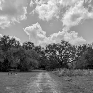 Into the Preserve.jpeg