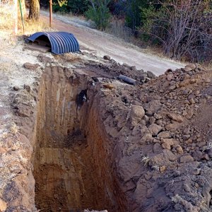 IMG_20250804_183025 cropx.jpg