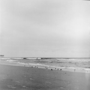 Roll _8_YashicaMat124_2025_Image_06-positive.jpg