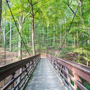 Suspension Bridge.jpg