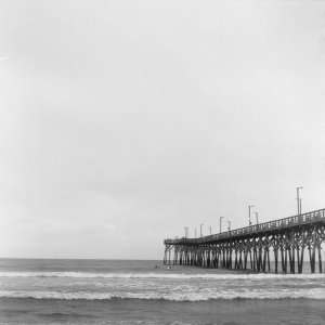 Roll _8_YashicaMat124_2025_Image_08-positive.jpg