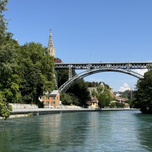 IMG_9482.jpeg