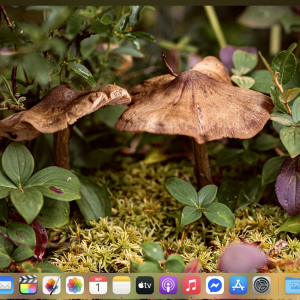 September 1st 2025 Desktop.png