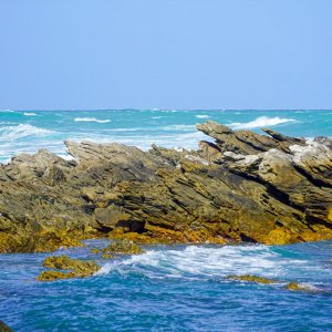 Cape Agulhas.jpg