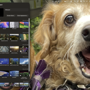 Screenshot 2025-09-30 at 6.11.52 AM.png