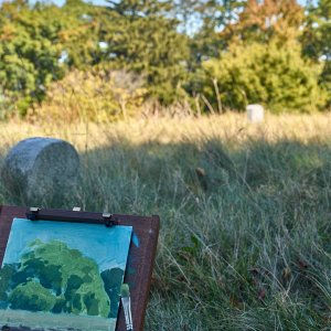 2025-10-01 ~ R52_2091.jpg