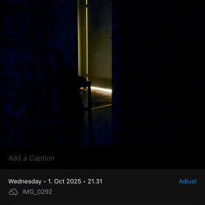 View recent photos.png