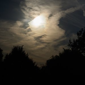 2025-10-04 ~ R52_2911.jpg